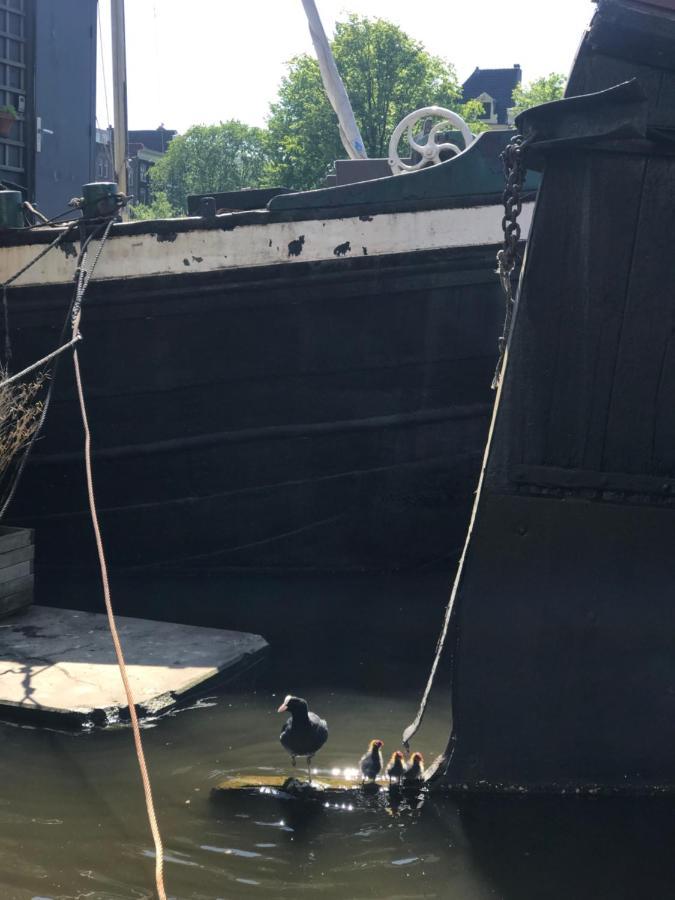 Six Lägenhet Amsterdam Exteriör bild