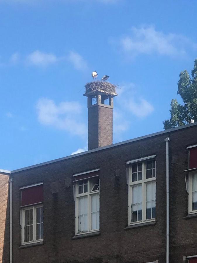 Six Lägenhet Amsterdam Exteriör bild