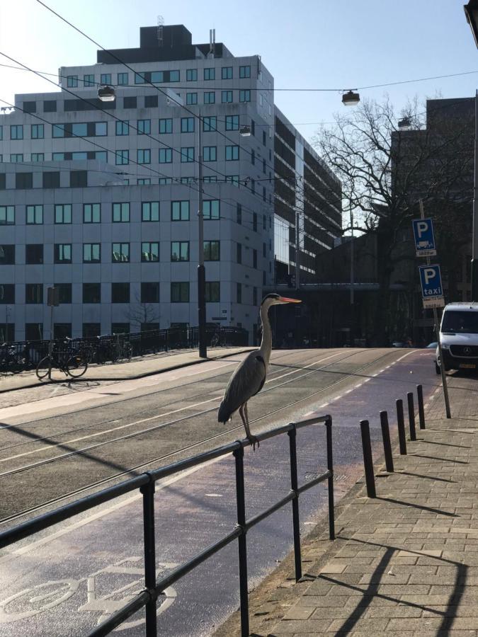 Six Lägenhet Amsterdam Exteriör bild
